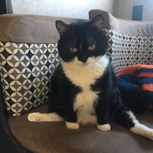 Meet your Posher, Amber